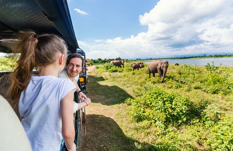Family Safari at Yala National Park: Everything Parents Need to Know