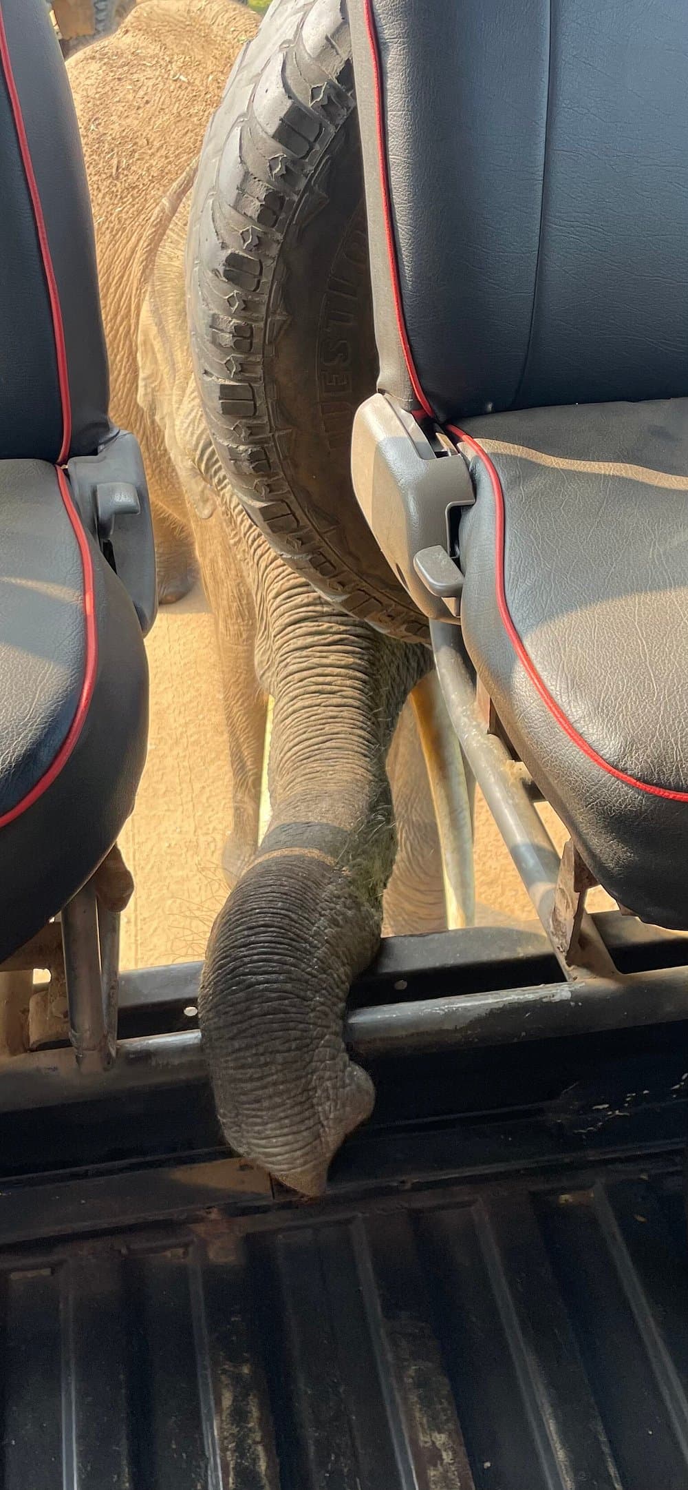 Book a private family safari with Yala Jeep Safaris expert naturalist guides at Yala National Park Sri Lanka