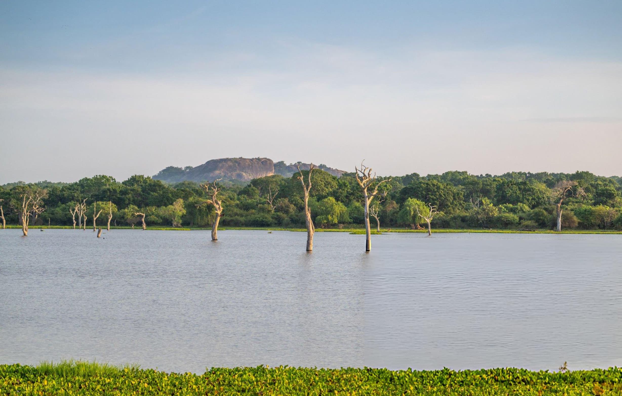 Book a private wildlife safari with Yala Jeep Safaris expert naturalist guides at Yala National Park Sri Lanka