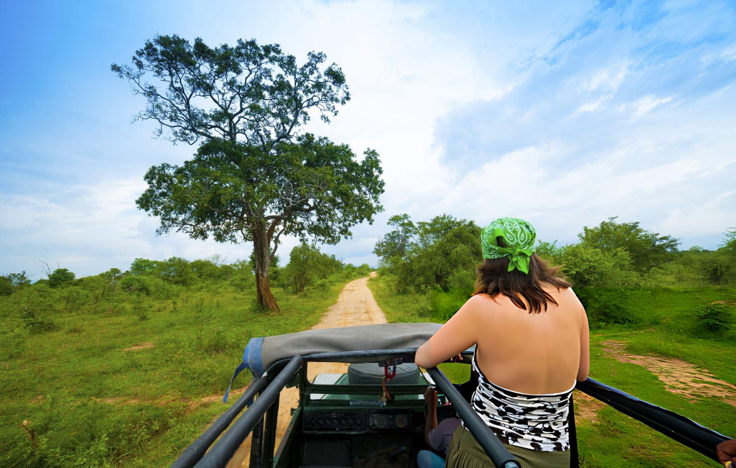 Golden hour wildlife photography at Yala National Park