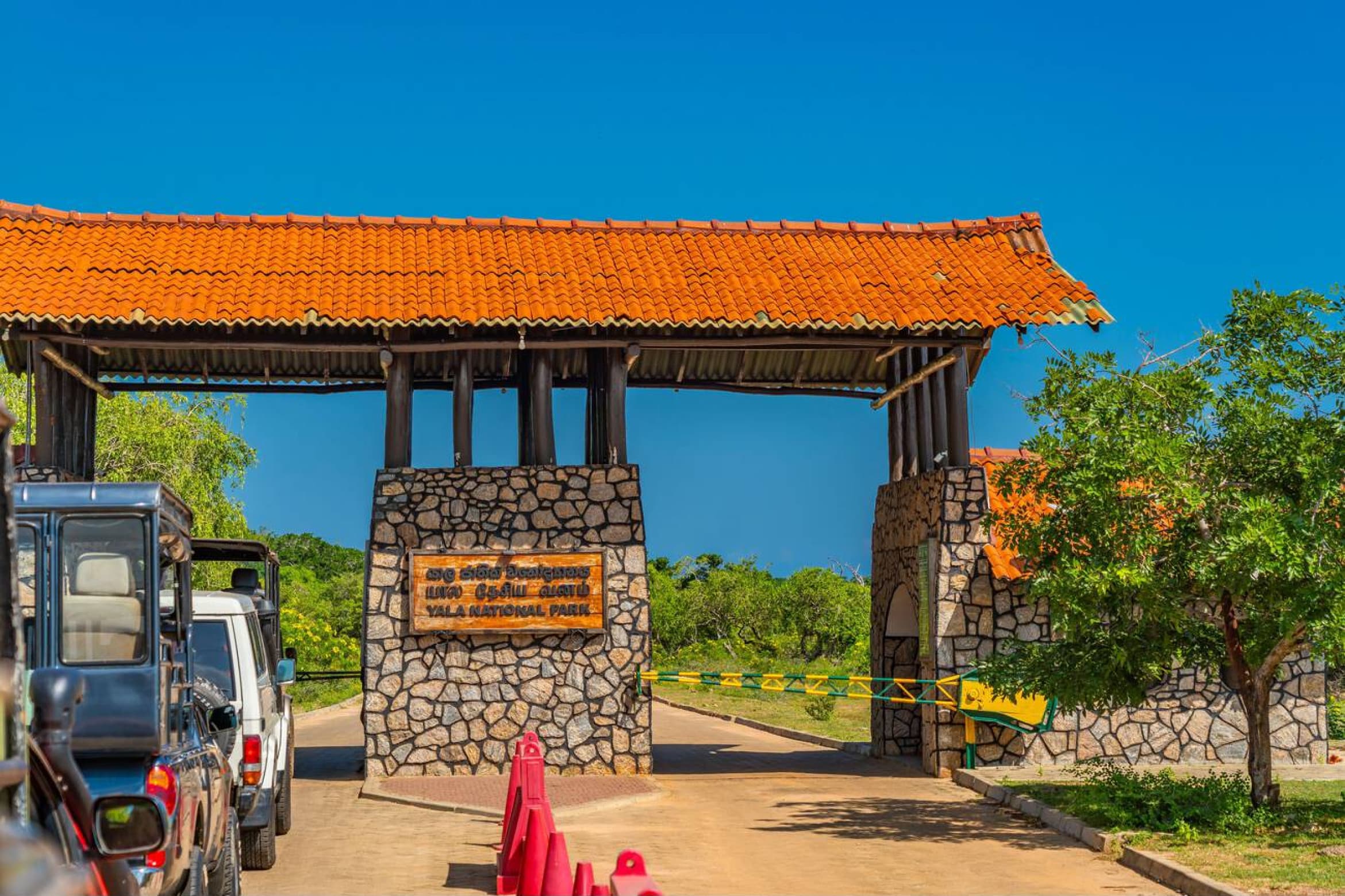 Leopard in Yala National Park wilderness
